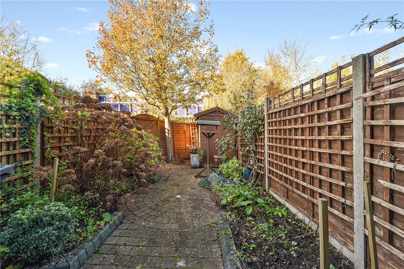 Garden